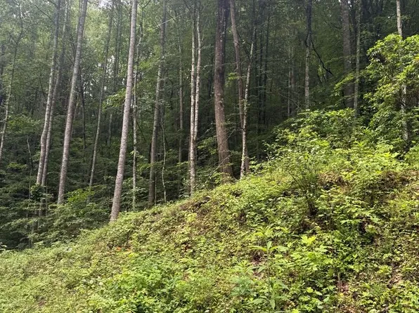 0 Corbin Hills Dr, Franklin, NC 28734