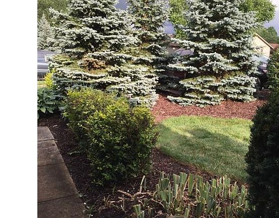 3rd image of 10844 Meadow Trl
