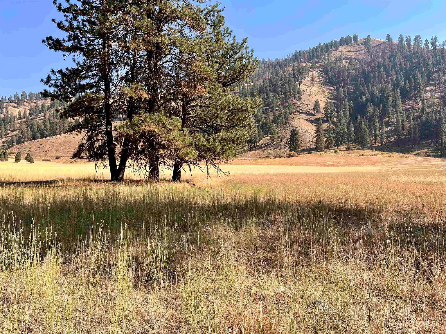 3L2B Payette River Hts, Garden Valley, ID 83622 MLS 98860702 Zillow