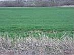 1st image of 1100 Arrowhead Lot 8