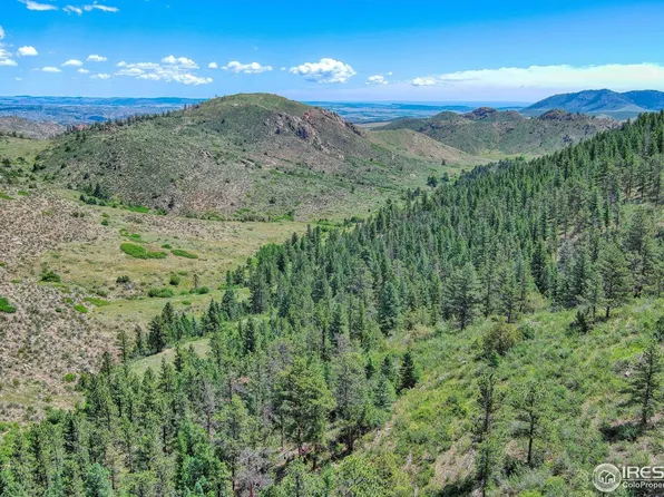 0 Mt Simon Rd, Livermore, CO 80536