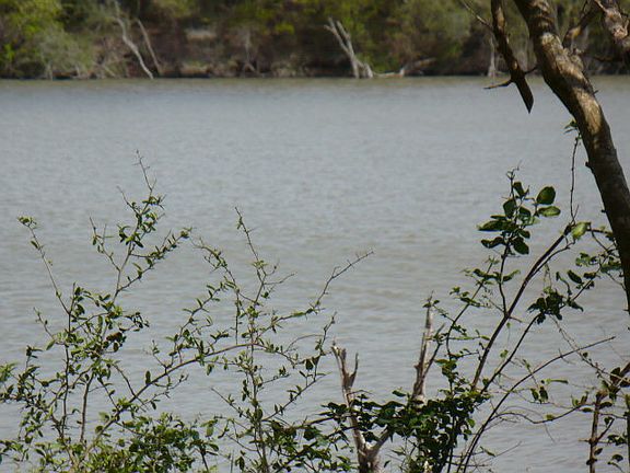4th image of 5681 Heron Cove Ln