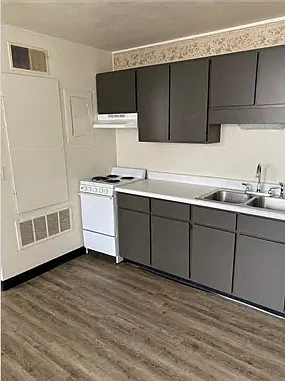 1 bed, 450 sqft, $625 — Photo 4
