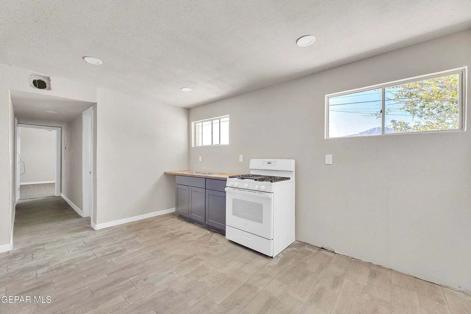 8827 Mount Elbert Drive - 3 — Photo 4