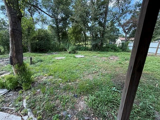 1 bed, 1.0 bath, 1000 sqft, $895 — Photo 3