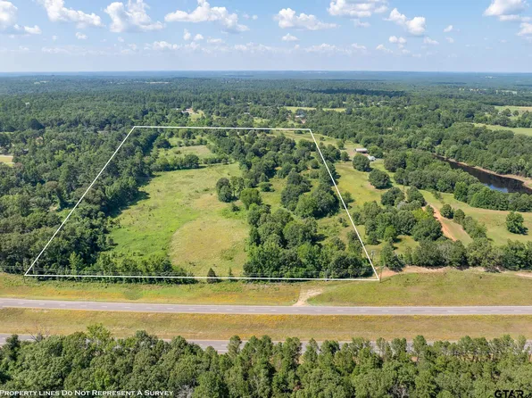 E Us Highway 80, Mineola, TX 75773