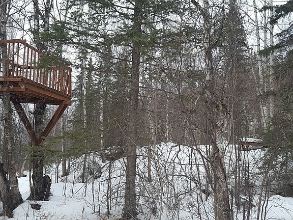 Front Yard Treehouse