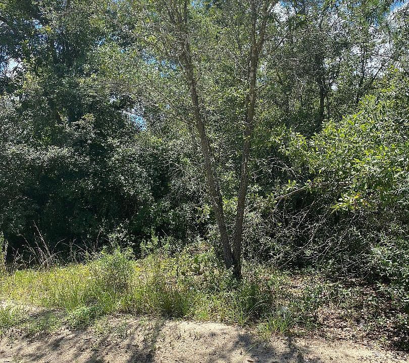2nd image of 0 Long Bay Dr