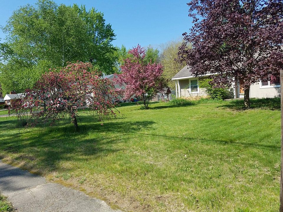 Beautiful Weeping Peach Tree