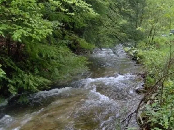 1004 Camp Scott Rd, Sutton, WV 26601