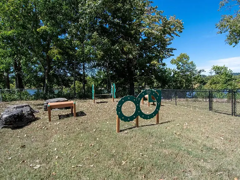 Dog Park