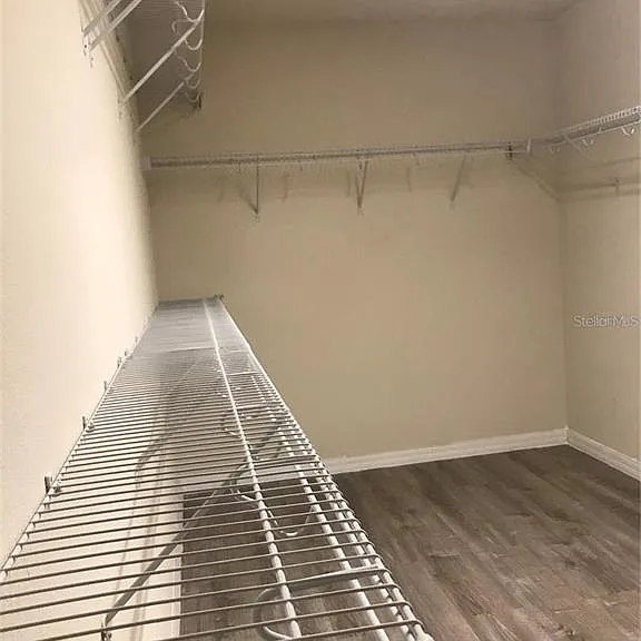 2504 Amati Dr — Photo 29