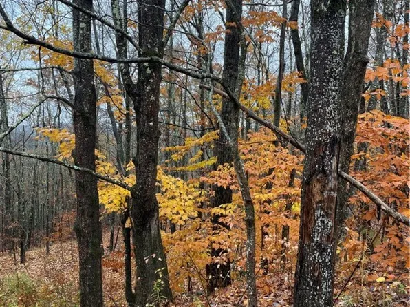 16 Silver Mine Rd, Summit, NY 12175