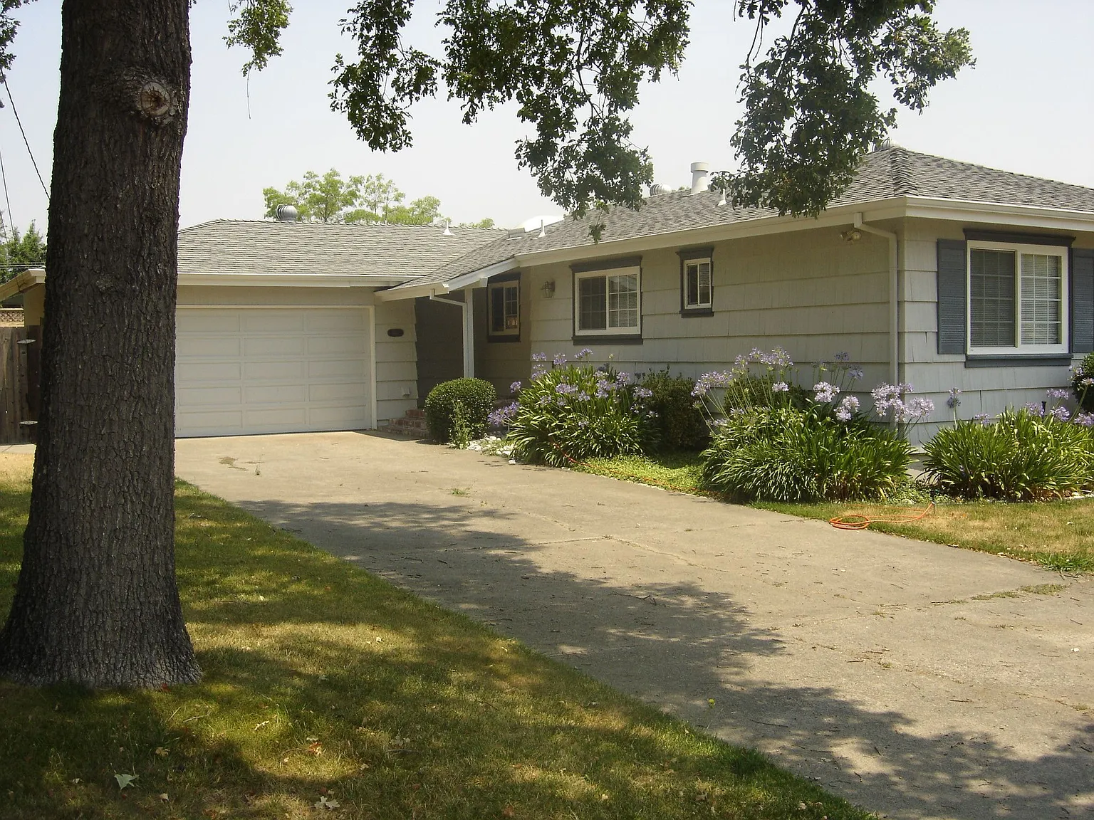 1557 Buchanan St photo 1