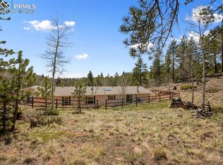 1011 W Bison Creek Trl, Divide, CO 80814