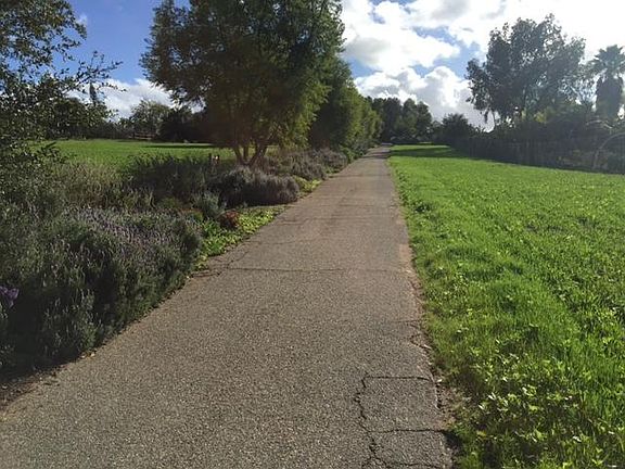 Private drive leading to bungalow