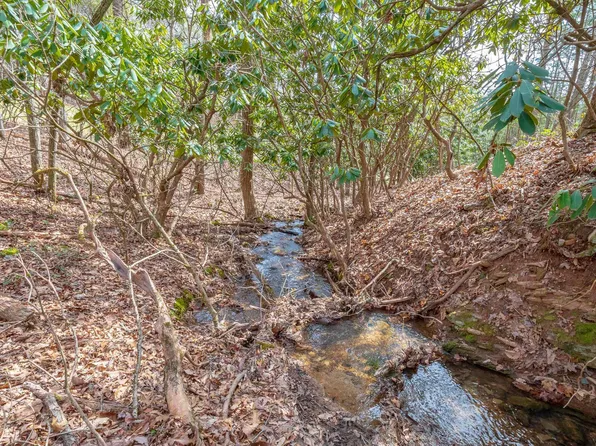 Tbdlot10 N Sunset Ln, Bland, VA 24315