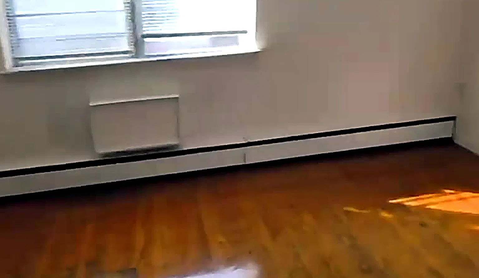 2 bed, $1,249 — Photo 4