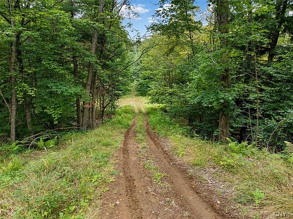 5th image of 0 Piseco Rd Lot 7