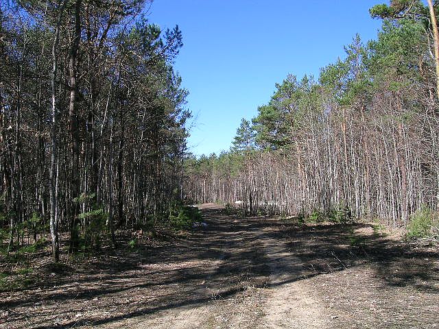 2nd image of 3913 Keystone Ln
