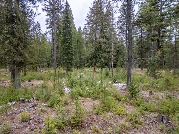 Forest Rd, Troy, MT 59935