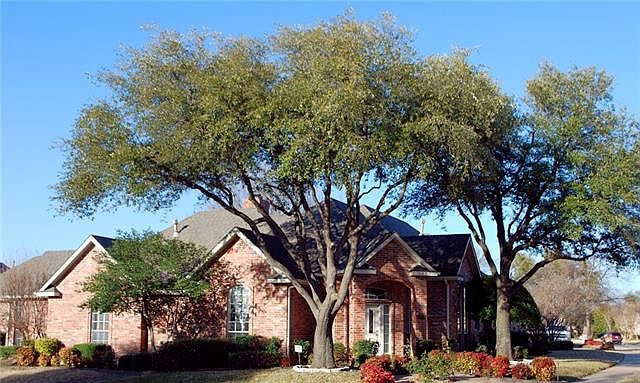 1st image of 1017 Lakewood Dr