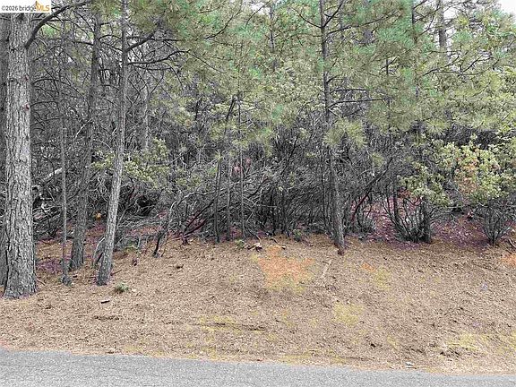 2nd image of 1 Stable Rd