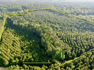 4 County Road 1512, Avinger, TX 75630