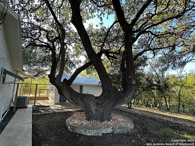 502 Cypress St — Photo 5