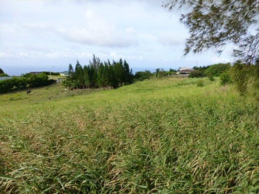 2nd image of 56-3233 Puu Mamo Dr Lot 16