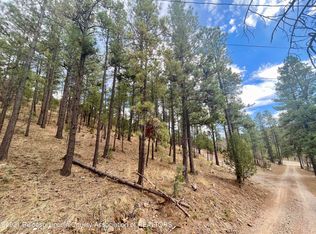 116 Half Circle Dr, Ruidoso, NM 88345
