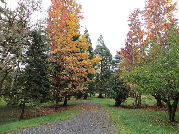 View From Main Livingroom