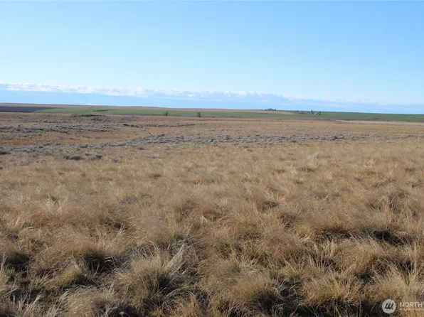 0 Schafer and Dewalt Road, Ritzville, WA 99169