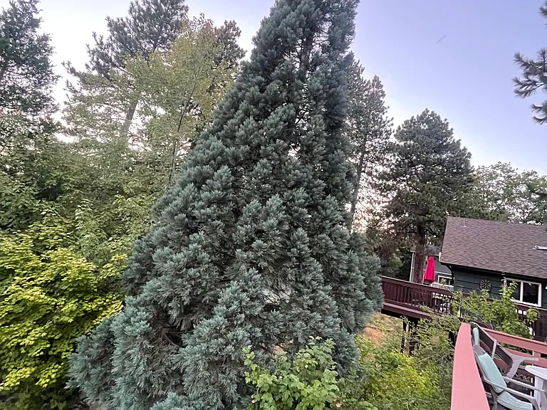 31379 Lightfoot Way #TOP — Photo 20