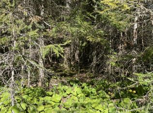 E Bass Cove Rd PARCEL A, Drummond Island, MI 49726