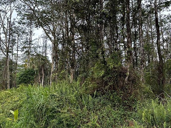 3rd image of Colby Cir Lot 490