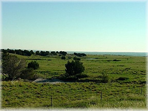 5th image of 7565 W State Highway 96