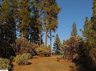 Pm 14 89 Par C Lytle Loomis Rd, Groveland, CA 95321