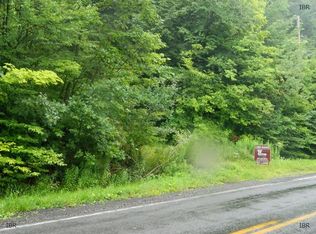 961 Vankirk Rd, Newfield, NY 14867