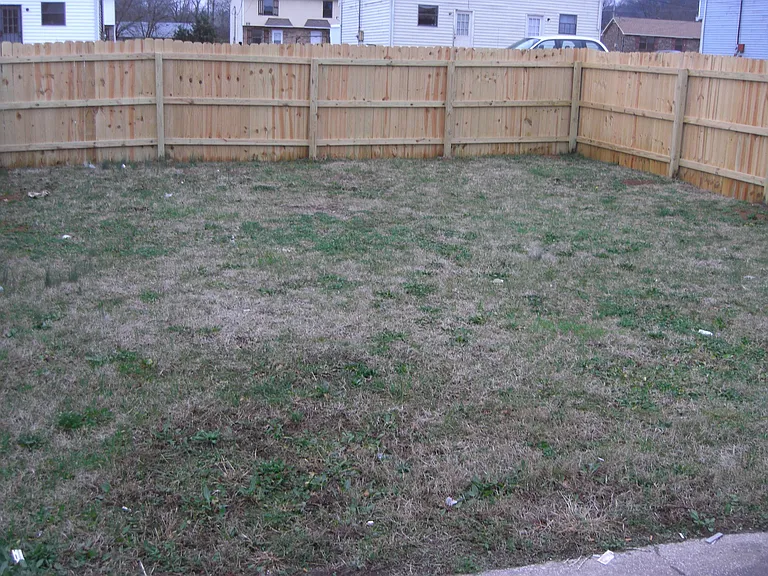 Backyard_08282013