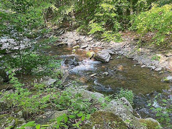 Backyard Stream