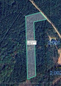 0 Lee Road 333, Salem, AL, 36874