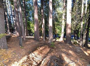 2525 Cheyenne Way, Arnold, CA 95223