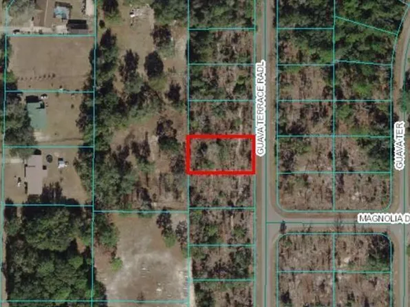 0 Guava Terrace Radl #7, Ocklawaha, FL 32179