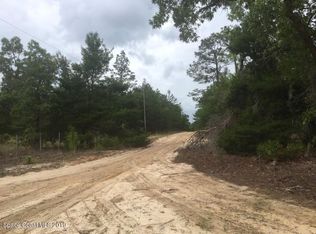 0 Blueberry St, Pomona Park, FL 32181