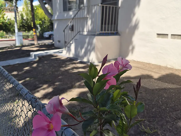 511 Strand St #A — Photo 6