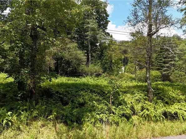 Revonah Hill Road, Liberty, NY 12754