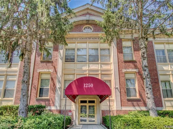 1250 North Avenue #204, New Rochelle, NY 10804