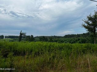 Hillsboro Ludlow Rd, Lena, MS 39094