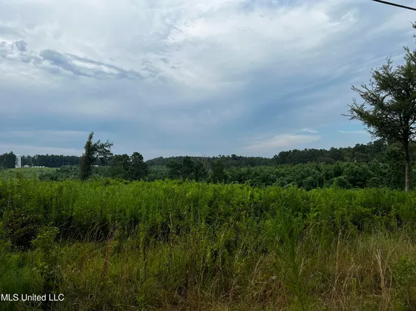 Hillsboro Ludlow Rd, Lena, MS 39094